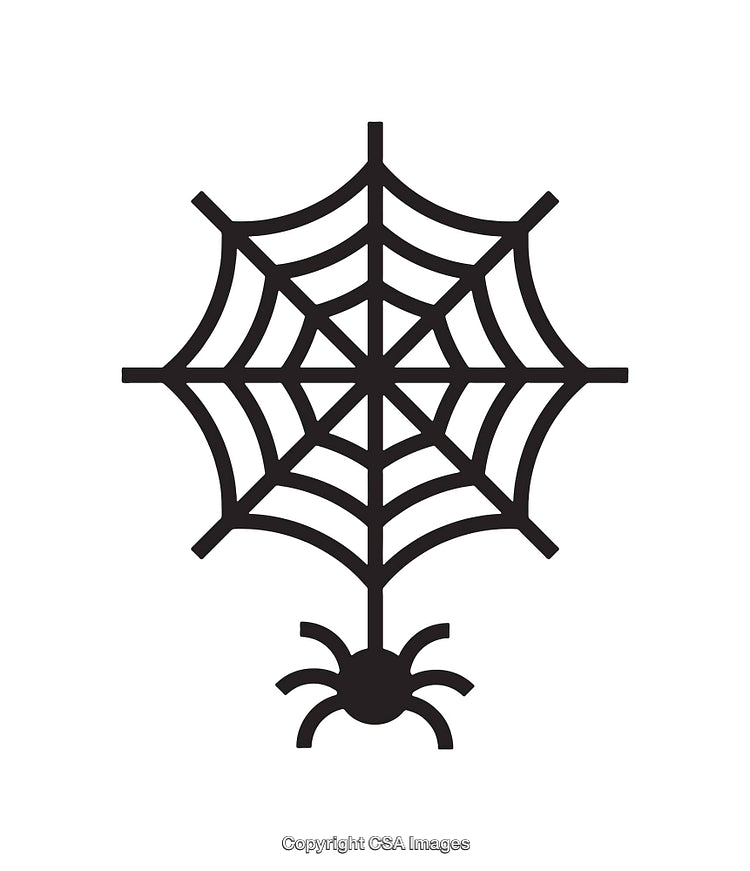 Stylized Black and White Icon of a Spider and Web Design