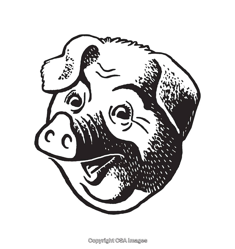 Vintage Black and White Illustration of a Smiling Pig's Head