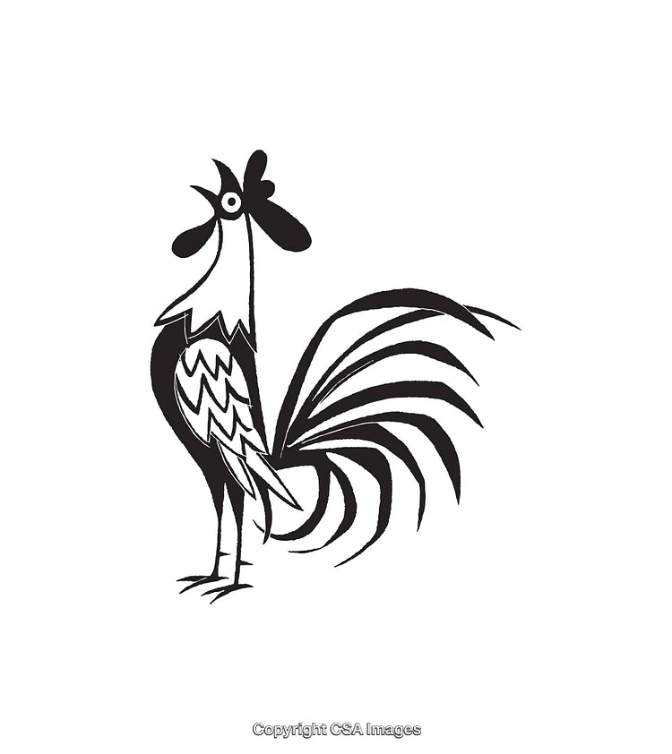 Black and White Line Art Illustration of a Crowing Rooster