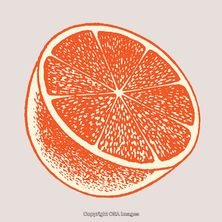 Vintage Style Line Art Illustration of a Juicy Orange Half