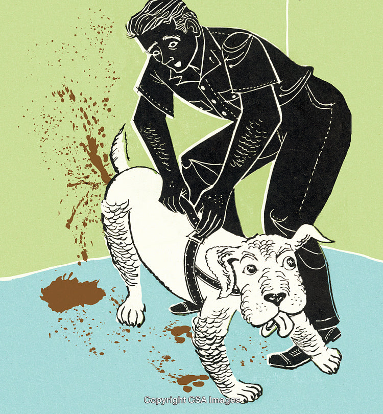 Man Cleaning a Messy Incident With Pet Dog in Stylized Illustration