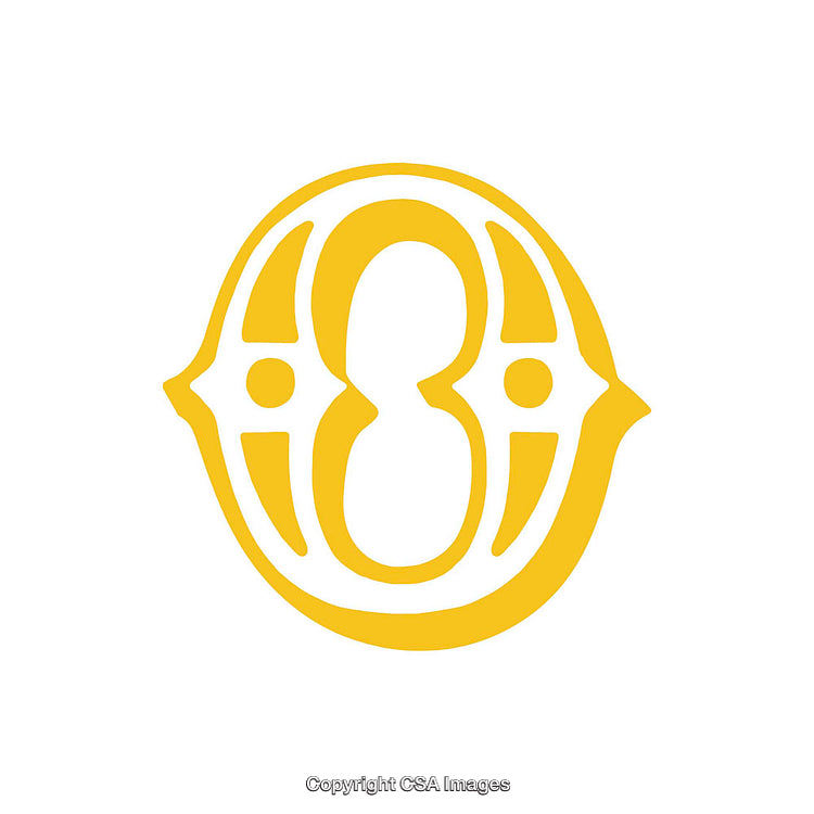 Yellow Ornate Letter O on a White Background