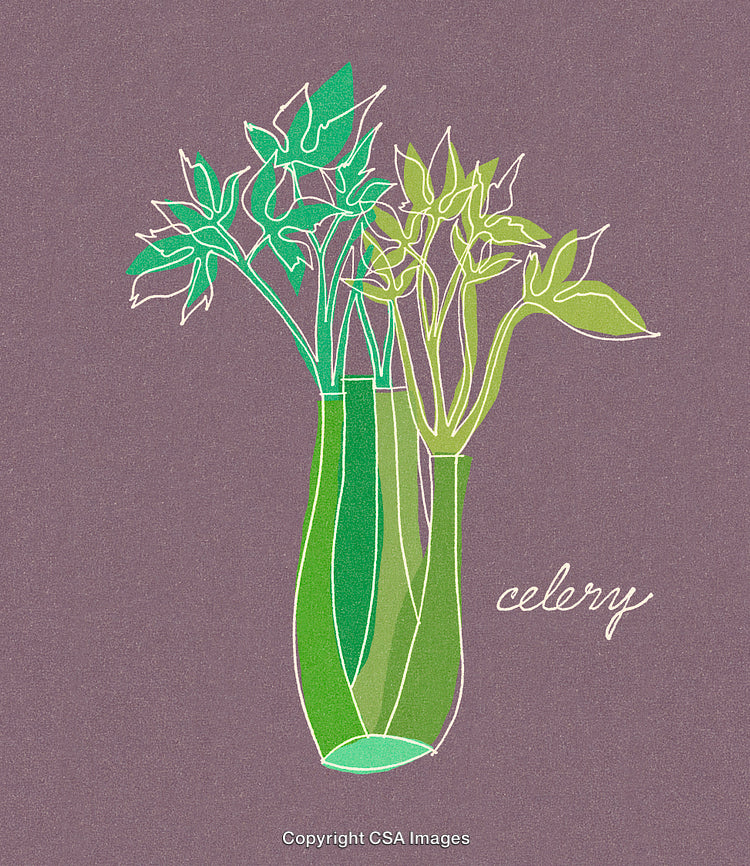 Hand-Drawn Minimalistic Illustration of Celery Stalks with Green Accents