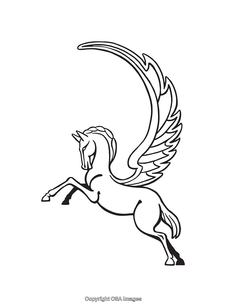 Elegant Line Art Illustration of a Pegasus with Detailed Wings