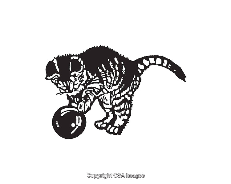 Vintage Black and White Illustration of a Cat Playing With a Ball