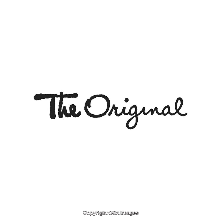 Black Handwritten Text 'The Original' on White Background
