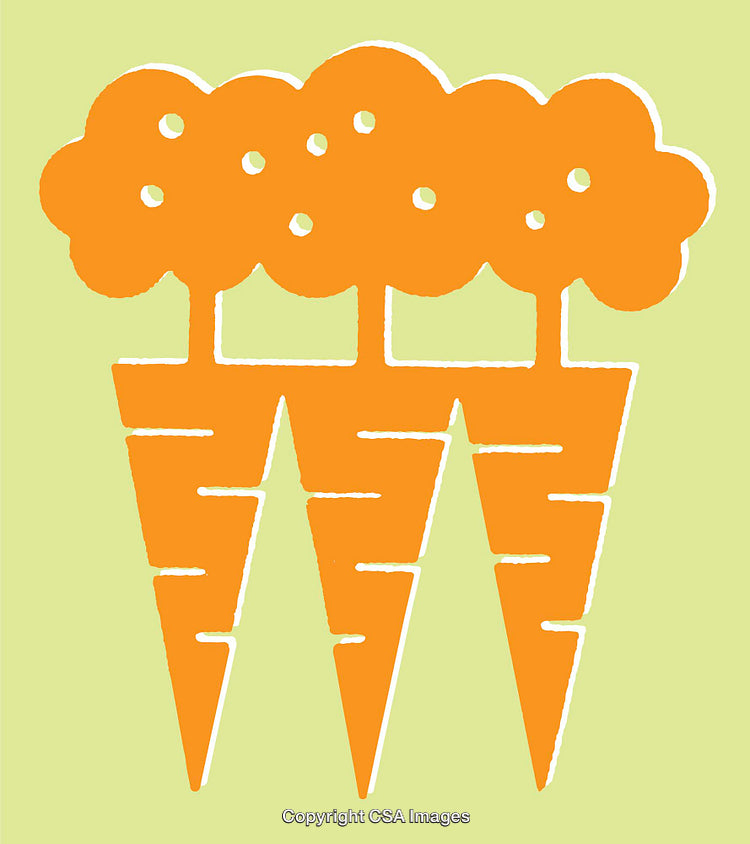 Stylized Illustration of Orange Carrots on Light Green Background