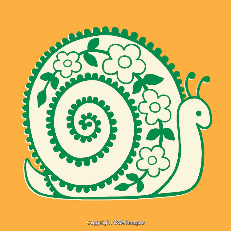 Whimsical Decorative Snail Illustration with Floral and Spiral Details