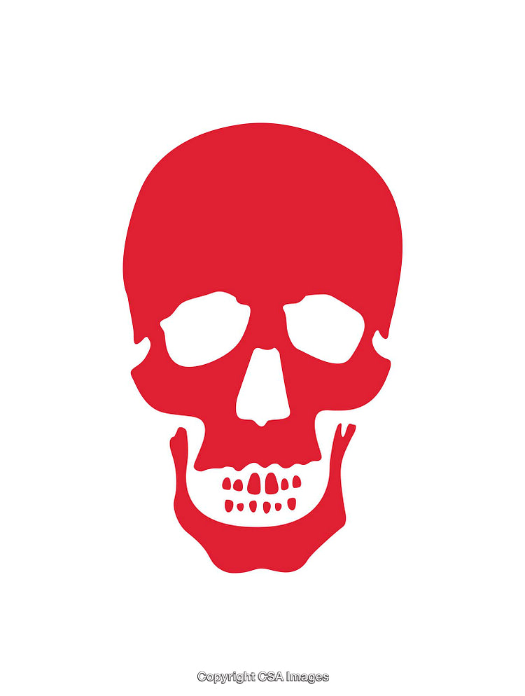 Red Skull Icon on a Clean White Background