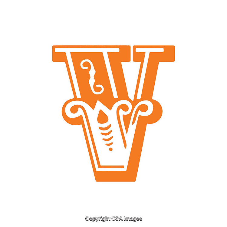 Ornate Orange Letter V with Elegant Decorative Details Artwork