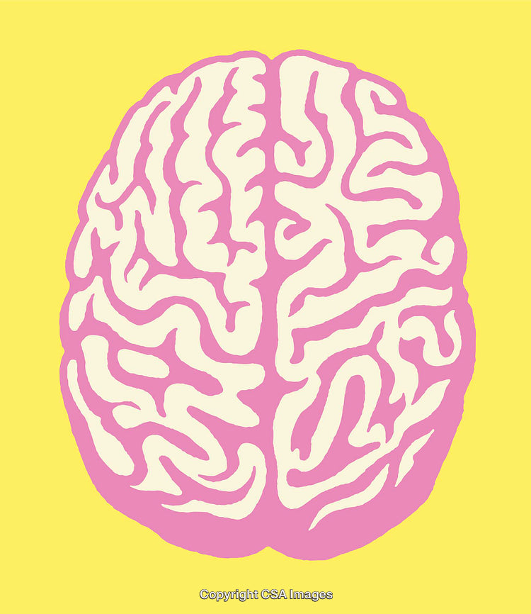 Pink Brain Illustration on Yellow Background, Colorful and Conceptual Design