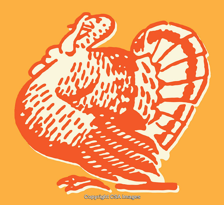 Stylized Line Art Illustration of a Thanksgiving Turkey Design