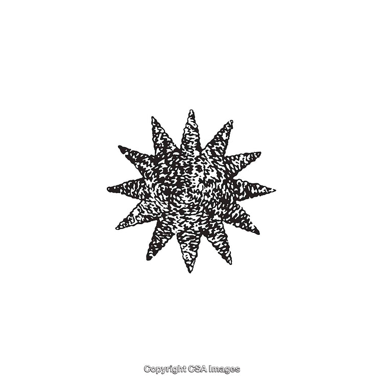 Black and White Abstract Sunburst Design Illustration