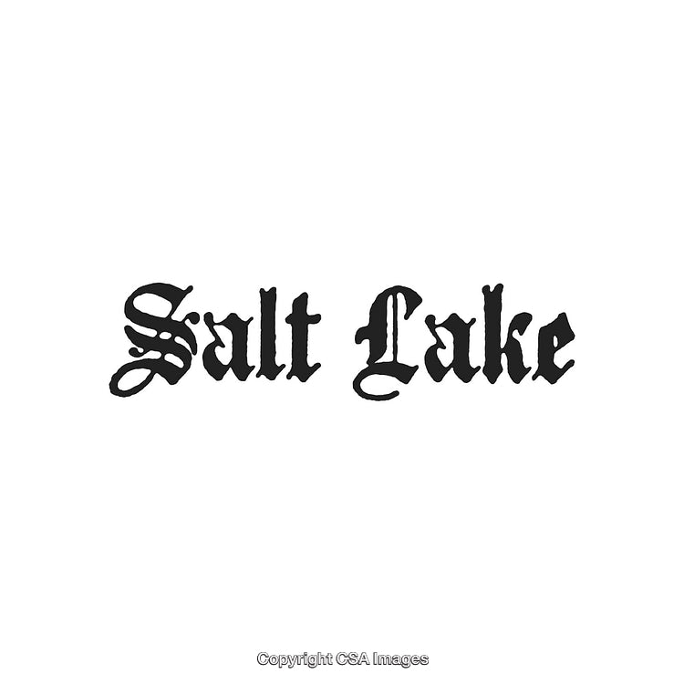 Decorative Typography Displaying Salt Lake in Bold Calligraphic Font Style