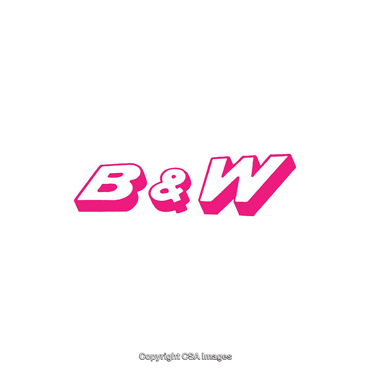 Bold Pink Text Logo Design with B & W Characters