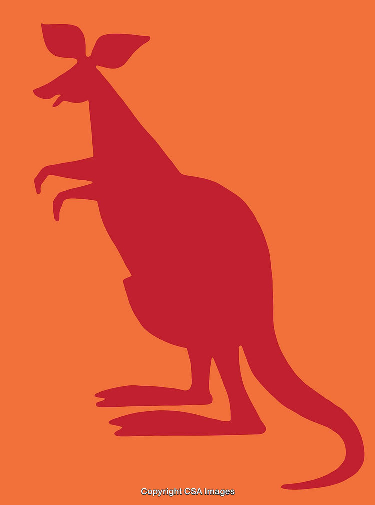 Red Kangaroo Silhouette Illustration on Orange Background in Artistic Style