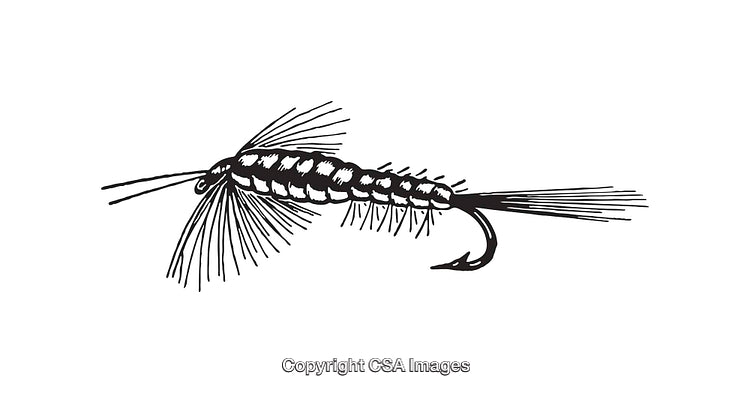 Black and White Line Art of a Fishing Fly Design