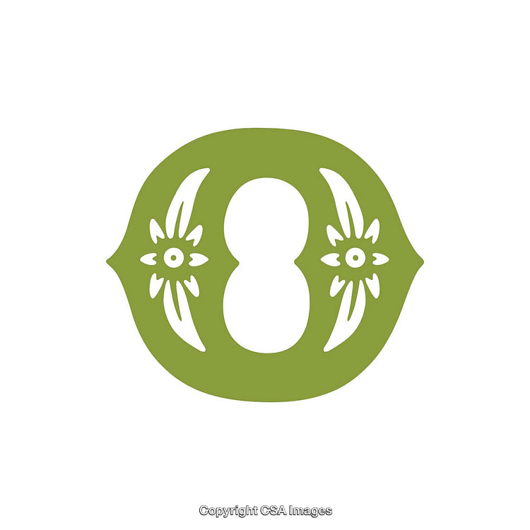 Creative Green Letter O Design with Decorative Floral Elements