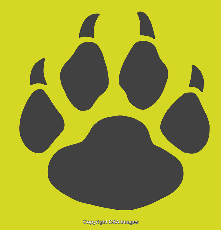 Stylized Animal Paw Print Illustration on Yellow Background