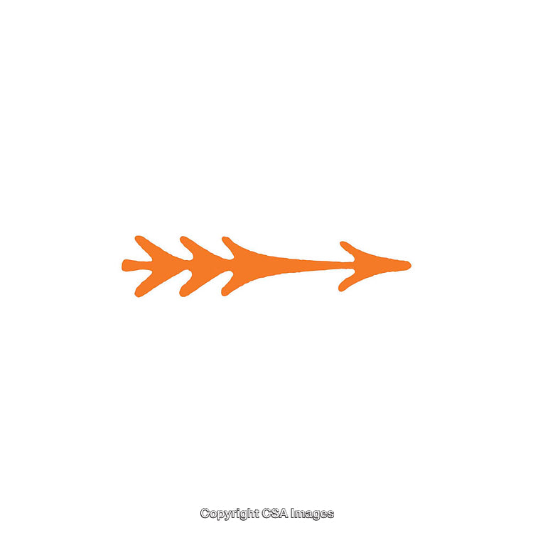 Orange Decorative Arrow Dingbat with Unique Design on White Background