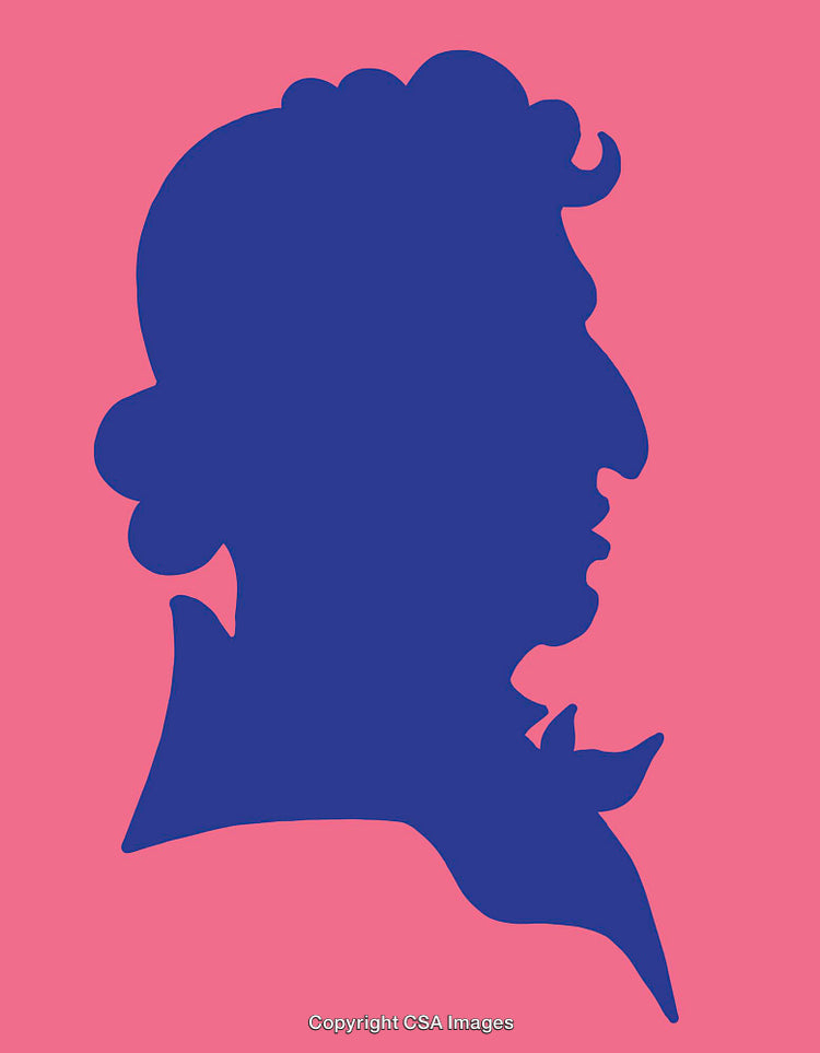 Silhouette Profile of a Figure in Contrasting Colors Illustration