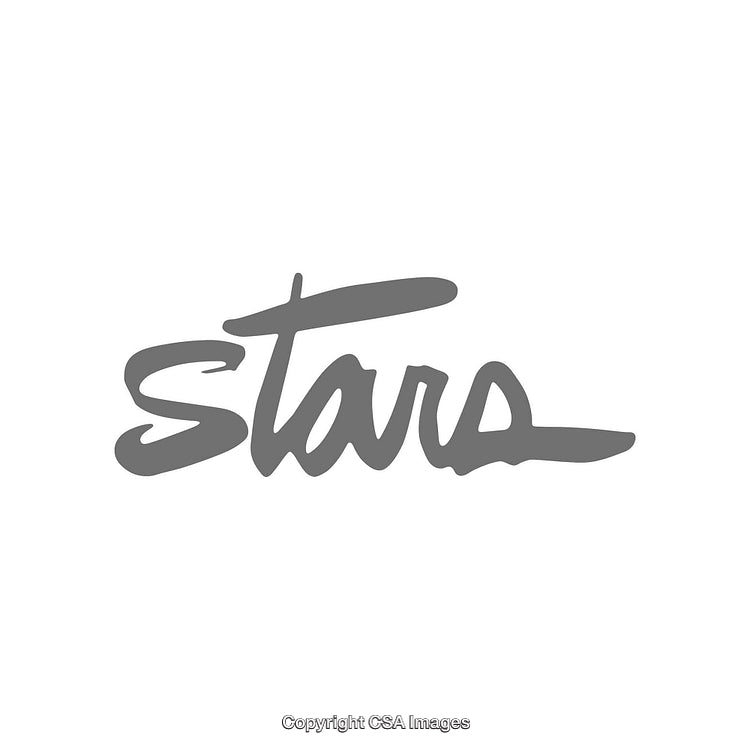 Stylized Gray Script Text with the Word 'Stars' on White Background