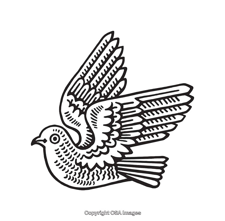 Black and White Line Art Illustration of a Flying Dove