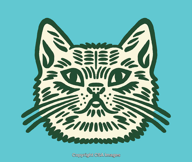 Stylized Green Cat Illustration on a Vibrant Blue Background