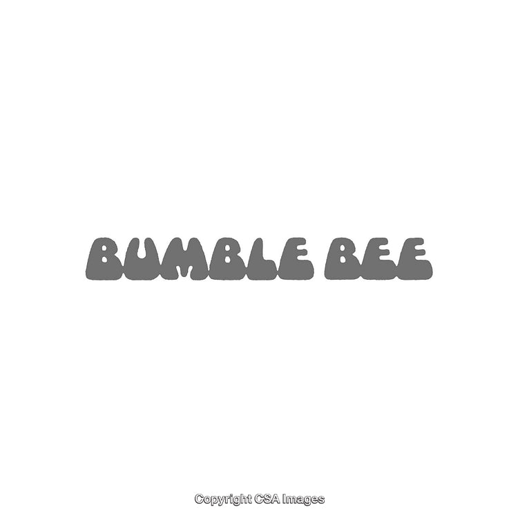 Minimalist Text Design Highlighting Bumble Bee in Bold Font