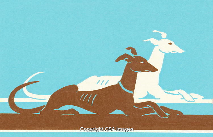 Stylized Illustration of Two Greyhounds in a Bold Graphic Design