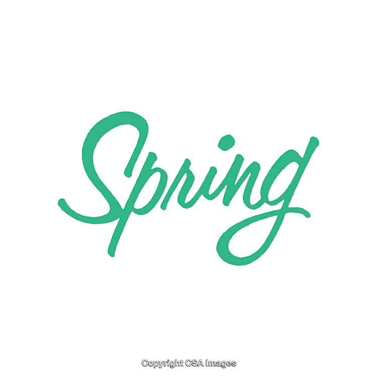Green Script Style Word 'Spring' on White Background