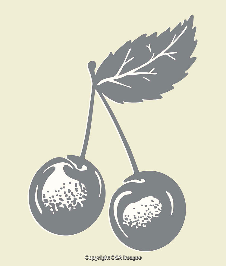Minimalistic Cherry Line Art Illustration with Leaves in Gray Tones