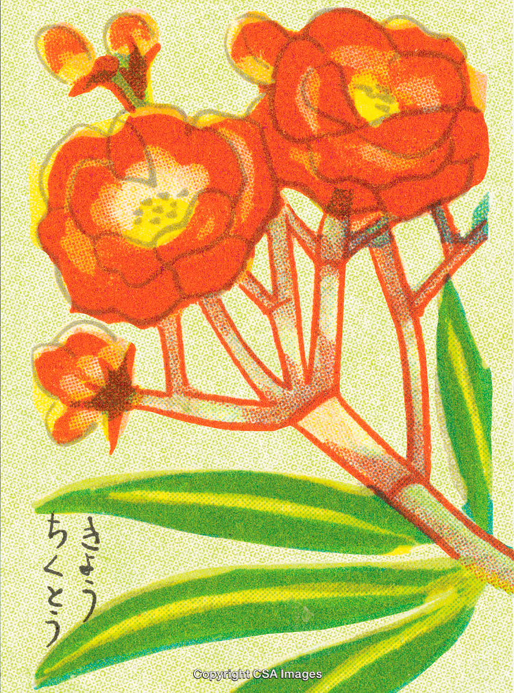 Illustration of Vibrant Red Flowers with Greenery and Japanese Script
