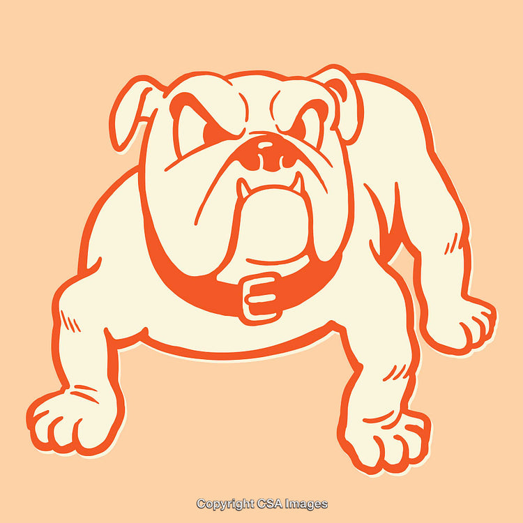 Bold Line Art Illustration of an Aggressive Bulldog on a Peach Background