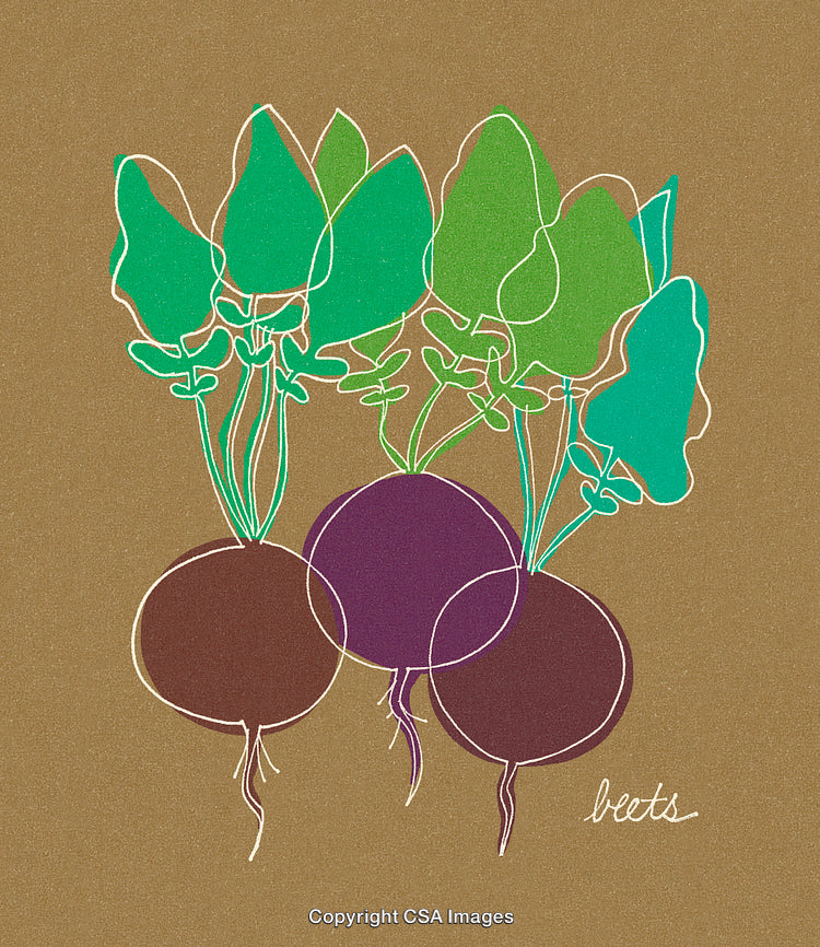 Artistic Illustration of Beets with Vibrant Leaves on Textured Background