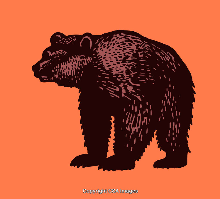 Bold Illustration of a Bear Silhouette in Vintage Style on Orange Background