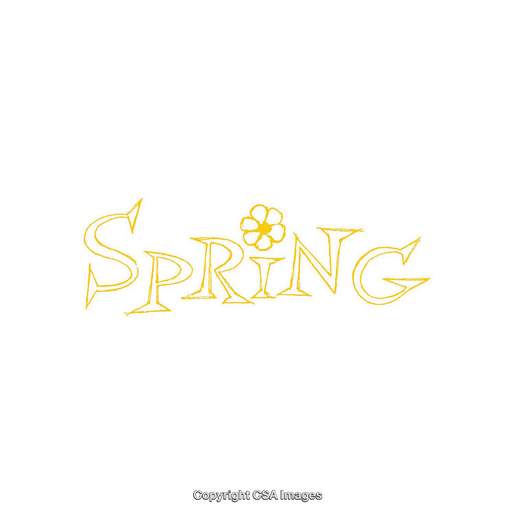 Artistic Yellow Text Illustration Depicting the Word Spring with Floral Elements