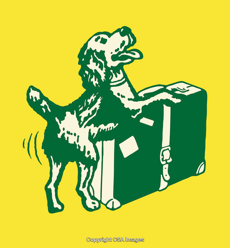 Friendly Dog Waving Tail with Luggage in Color Line Art Illustration