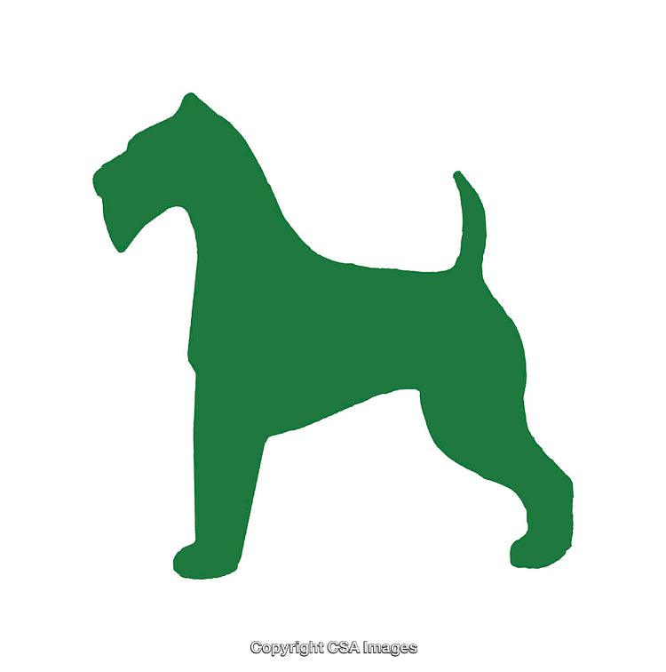 Green Dog Silhouette Icon on White Background