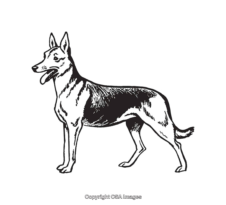 Black and White Line Art of a Standing Dog Illustration