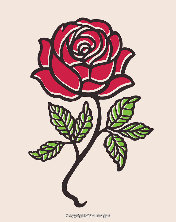 Bright Red Rose Illustration with Green Leaves on a Light Background