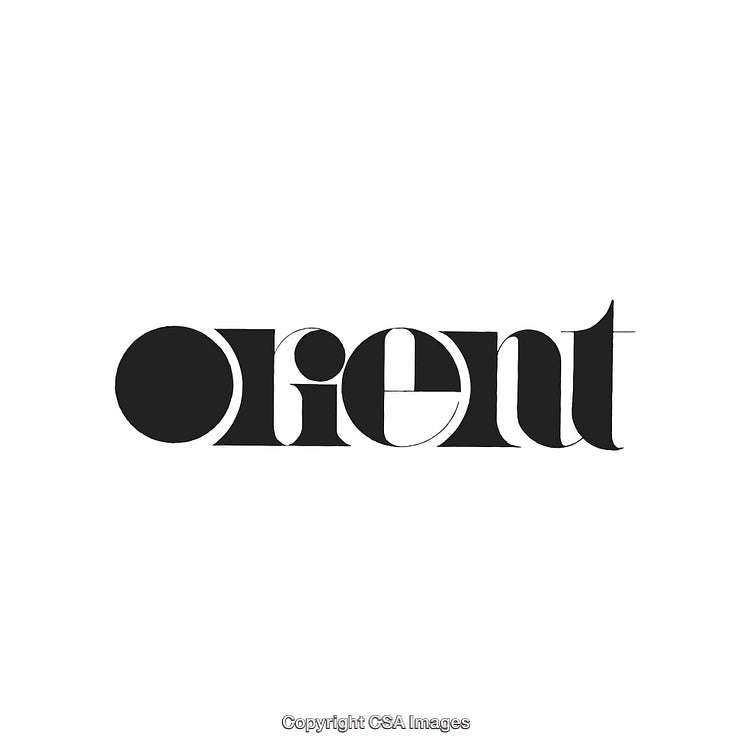 Stylish Modern Typeface Design Featuring Artistic Typography on a White Background