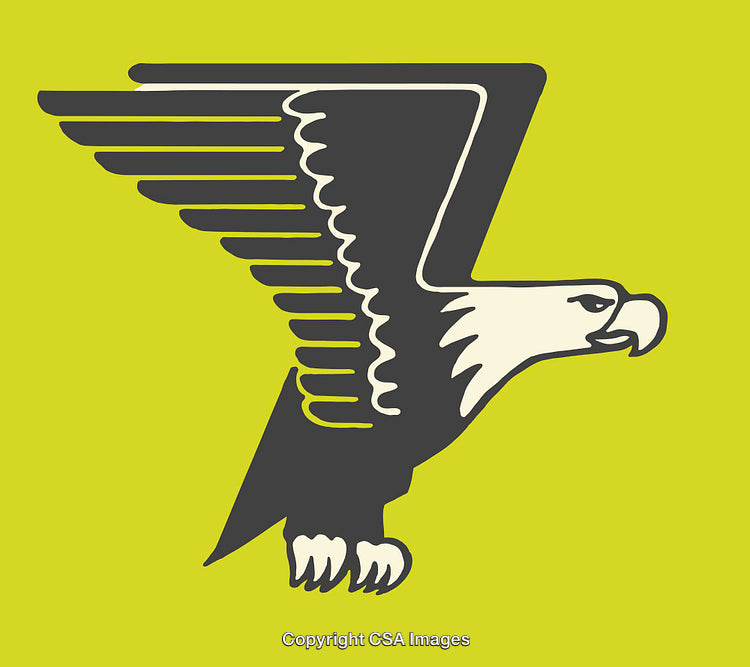 Bold Silhouette Illustration of Eagle on a Vibrant Background