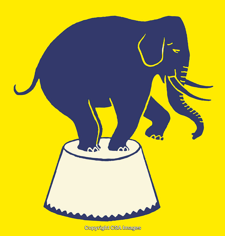 Color Line Art Illustration of an Elephant Balancing on a Pedestal