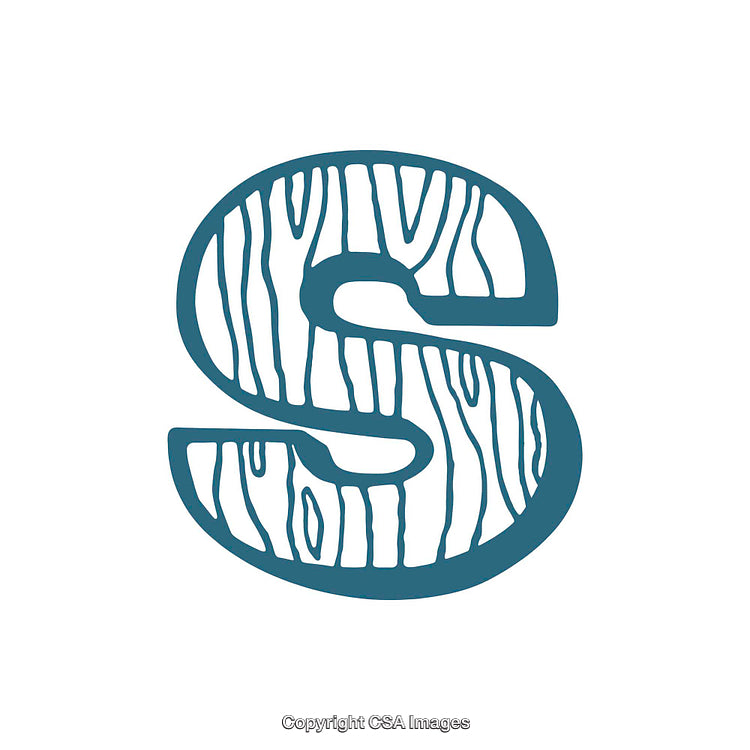 Creative Letter S with Decorative Wooden Texture Design Element