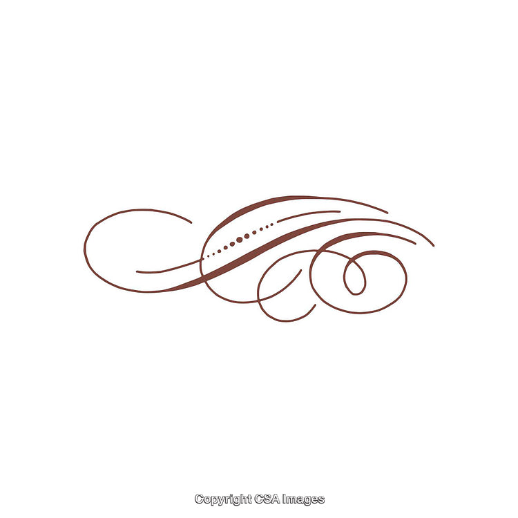 Elegant Brown Flourish Line Art Design on White Background