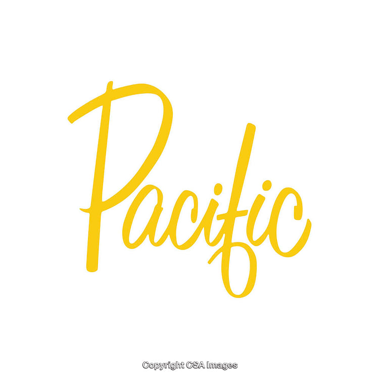 Yellow Pacific Text in Modern Handwritten Style on White Background