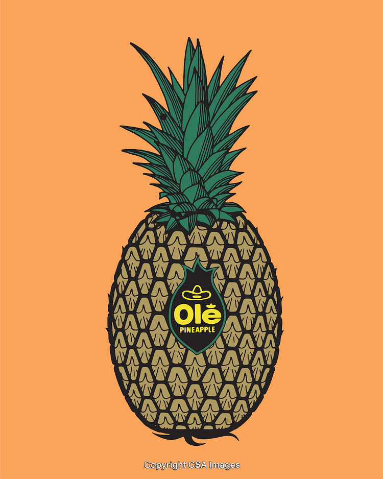 Colorful Line Art Illustration of a Pineapple on an Orange Background
