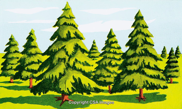 Illustration of Lush Pine Trees in a Vibrant Green Forest