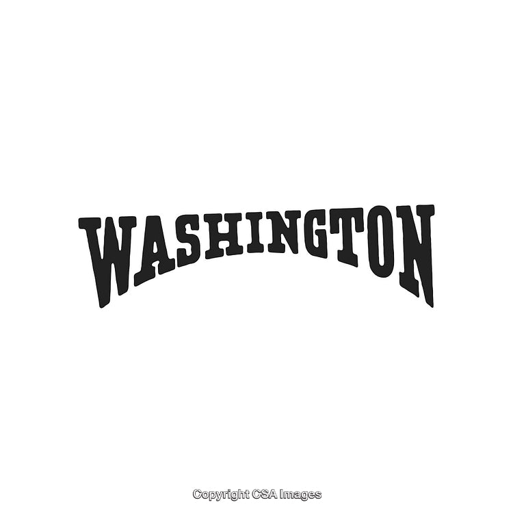 Stylized Washington Typography with Vintage-Inspired Design on White Background